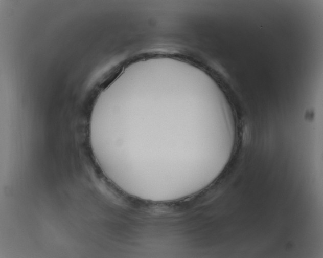 X0000113201448200910081239