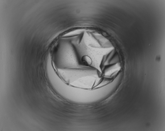 X0000113201449200910081239