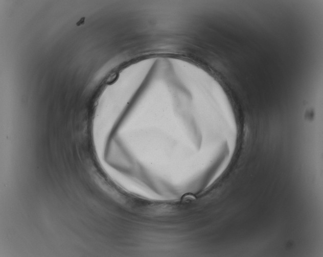 X0000113201450200910081239