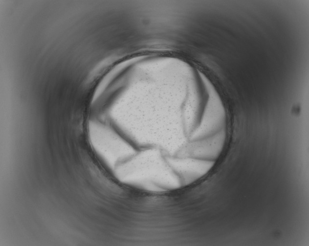 X0000113201451200910081239