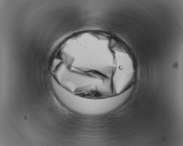 X0000113201452200910081239