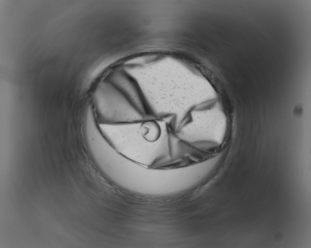 X0000113201453200910081239