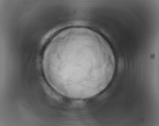 X0000113201454200910081239