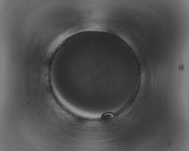 X0000113201455200910081239