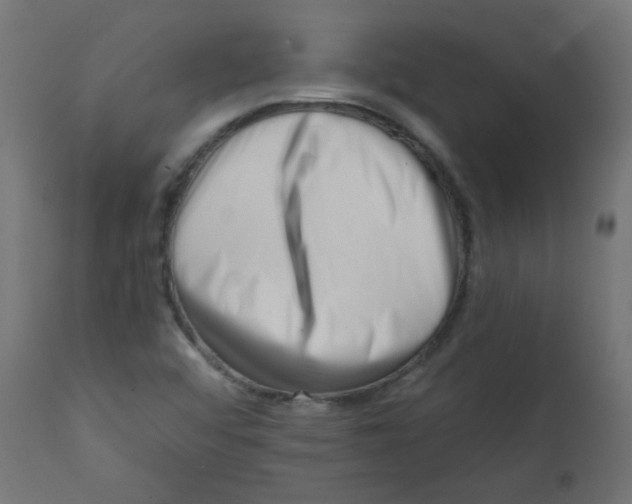 X0000113201456200910081239