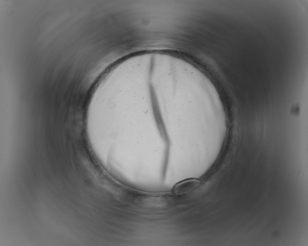 X0000113201457200910081239