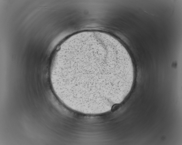 X0000113201458200910081239