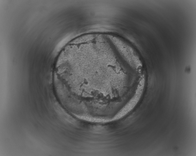 X0000113201459200910081239