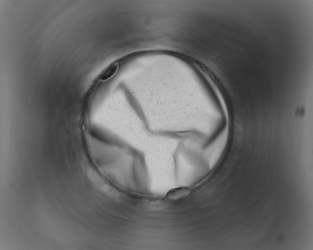 X0000113201460200910081239