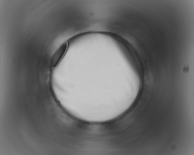 X0000113201461200910081239