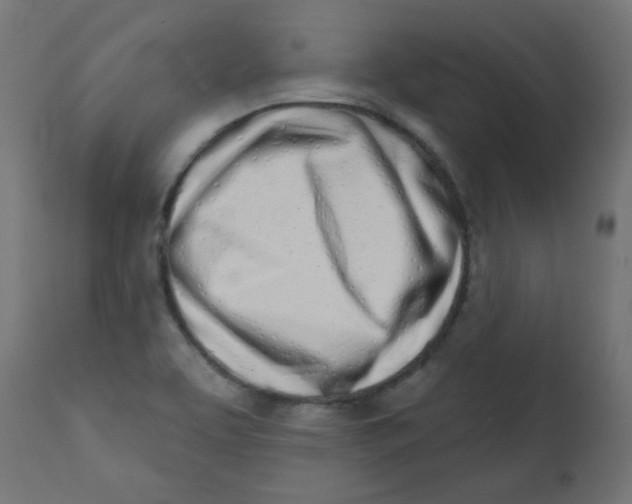 X0000113201463200910081239