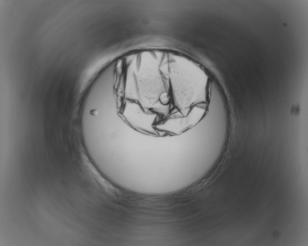 X0000113201464200910081239