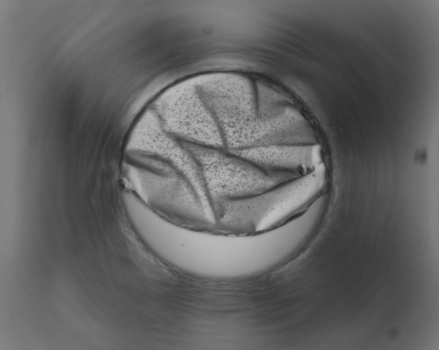 X0000113201465200910081239