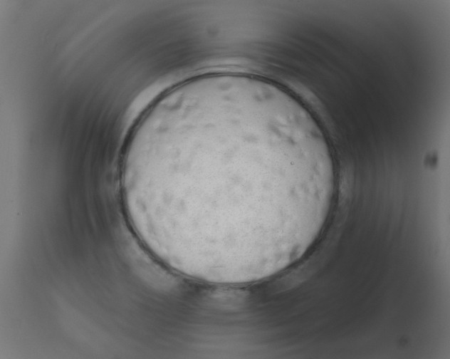 X0000113201466200910081239