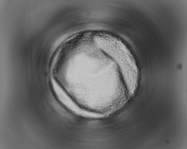 X0000113201467200910081239