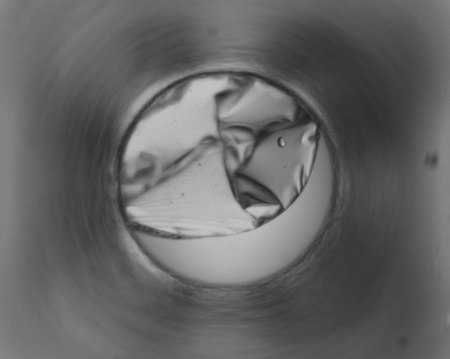 X0000113201468200910081239