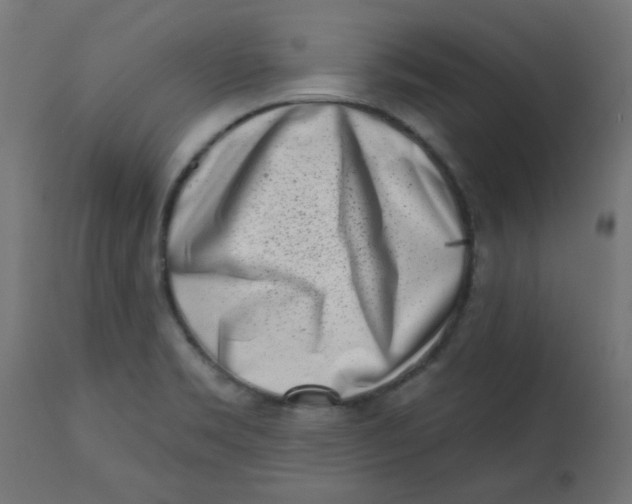 X0000113201469200910081239