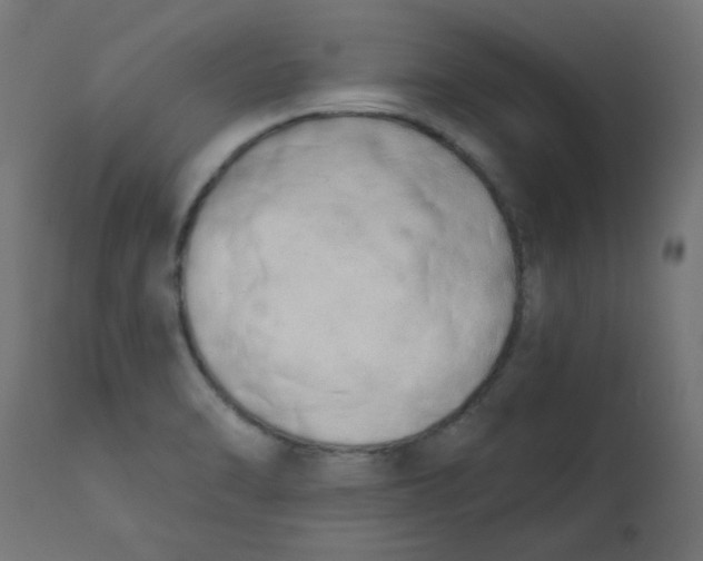 X0000113201470200910081239