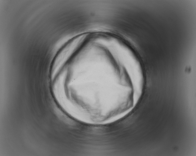 X0000113201471200910081239