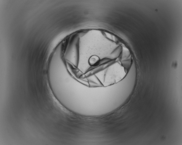 X0000113201472200910081239