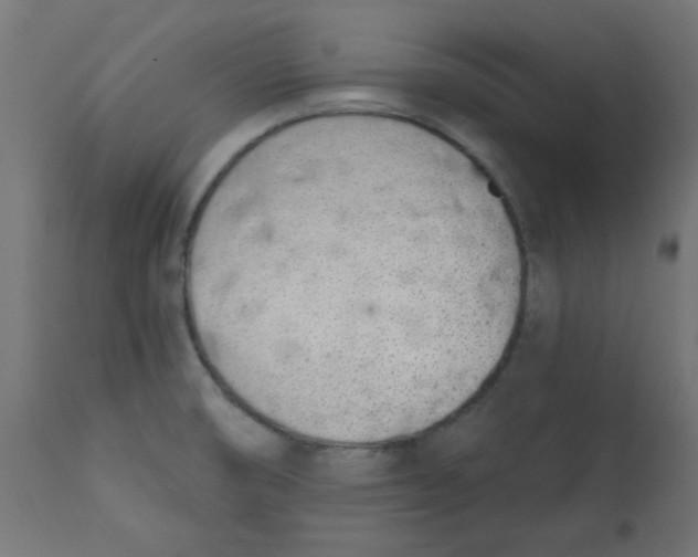 X0000113201474200910081239