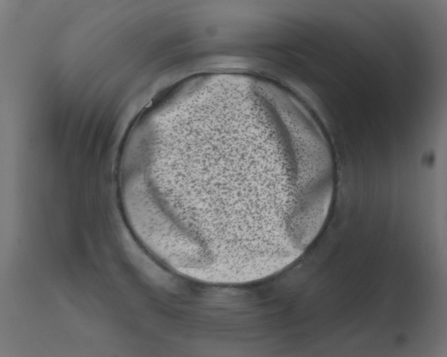 X0000113201475200910081239