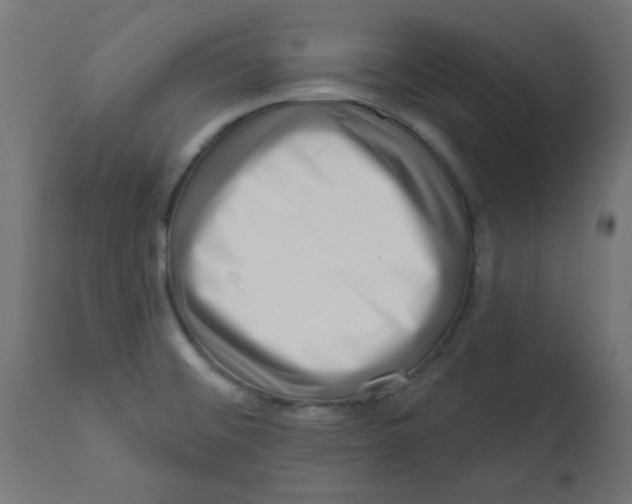 X0000113201476200910081239