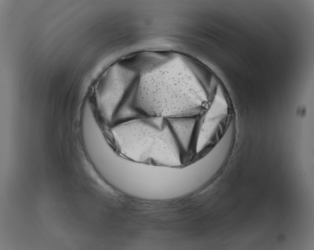 X0000113201477200910081239