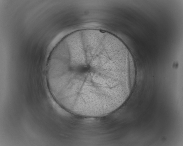 X0000113201478200910081239