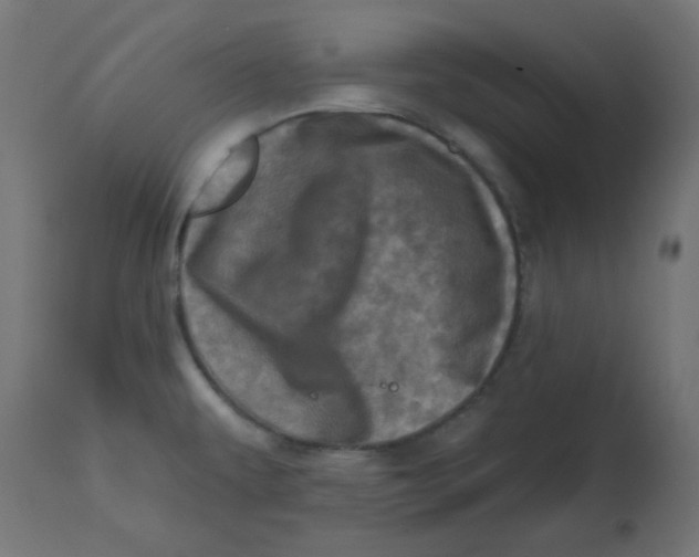 X0000113201479200910081239