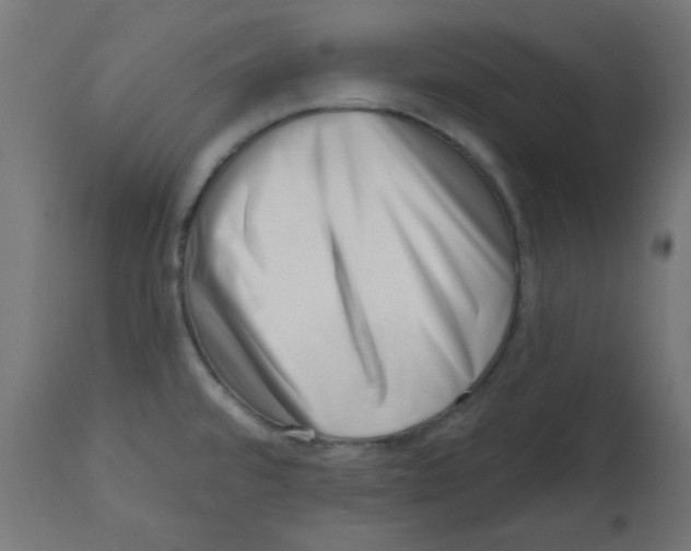 X0000113201480200910081239