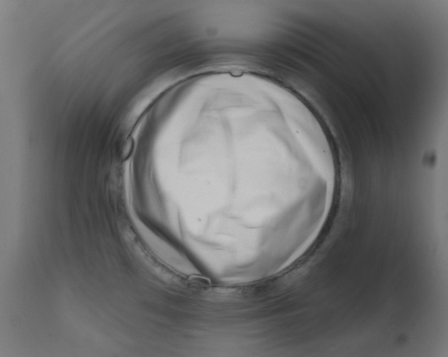 X0000113201481200910081239