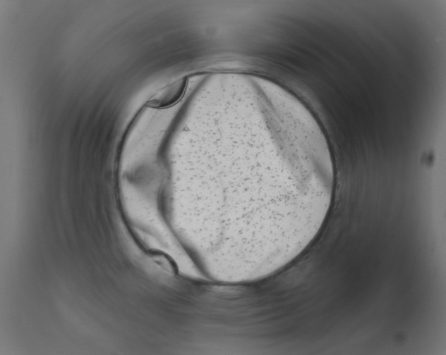 X0000113201483200910081239