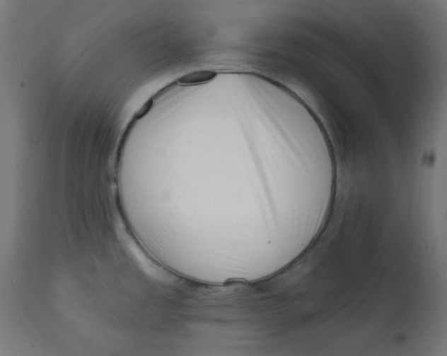 X0000113201485200910081239