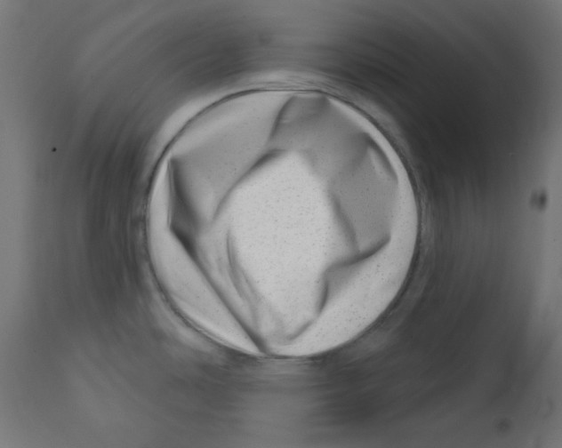 X0000113201486200910081239