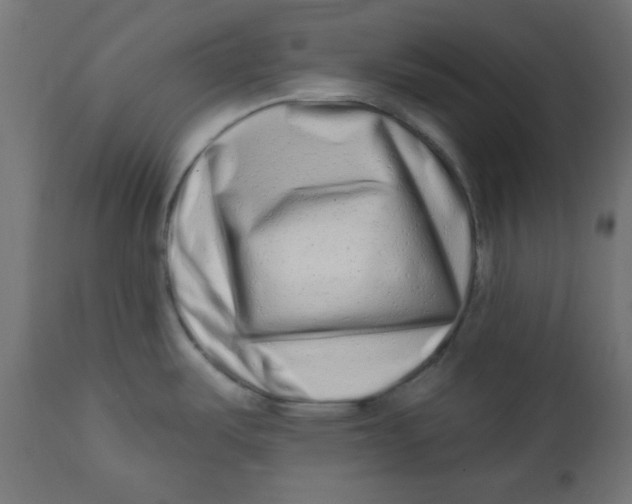 X0000113201487200910081239