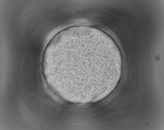 X0000113201488200910081239