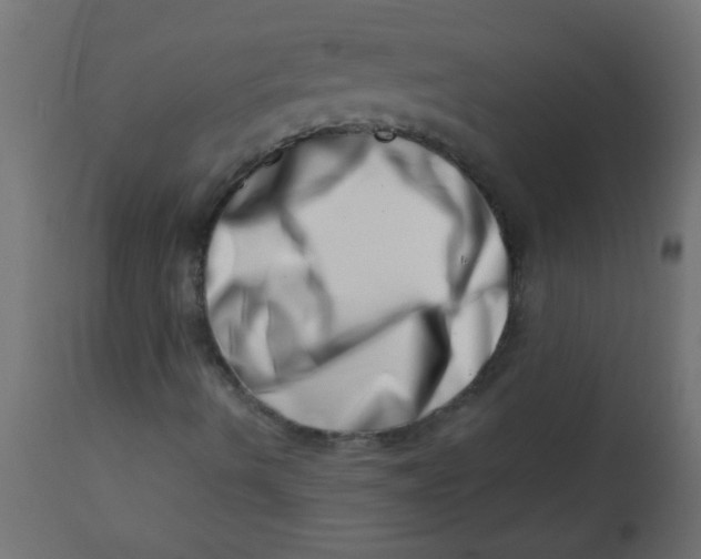 X0000113201490200910081238