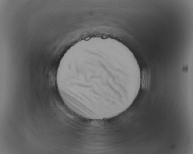 X0000113201491200910081238