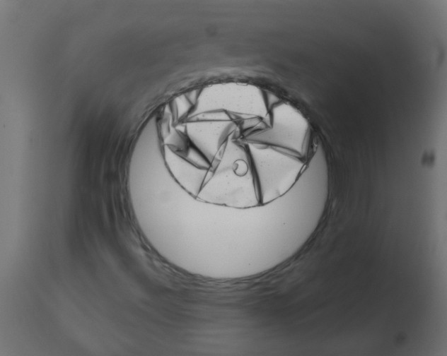 X0000113201492200910081238