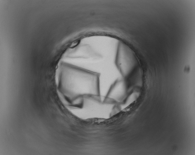 X0000113201494200910081238