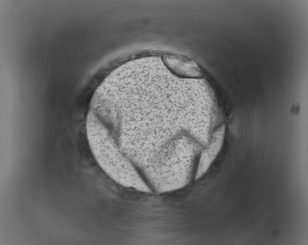 X0000113201495200910081238