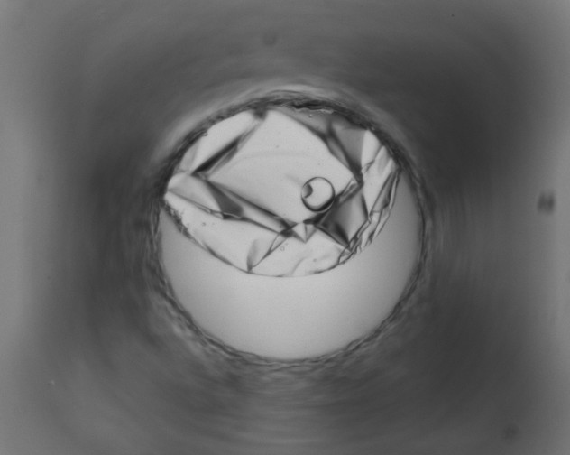 X0000113201496200910081238