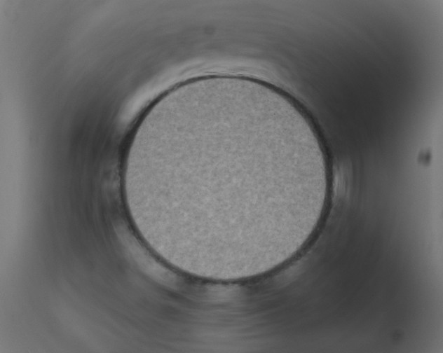 X0000113201498200910081238