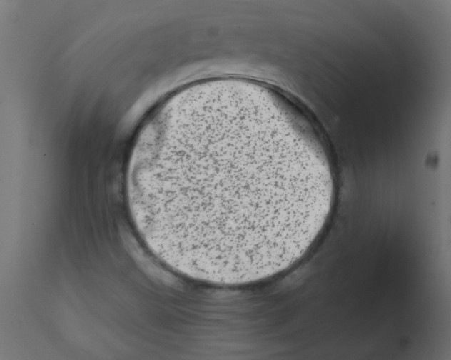 X0000113201499200910081238