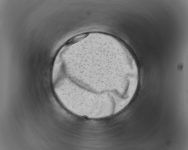 X0000113201500200910081238