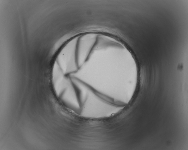 X0000113201501200910081238