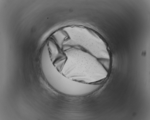 X0000113201502200910081238