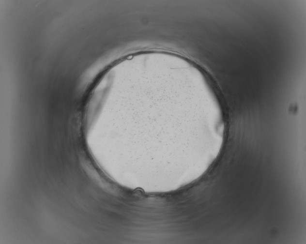 X0000113201503200910081238