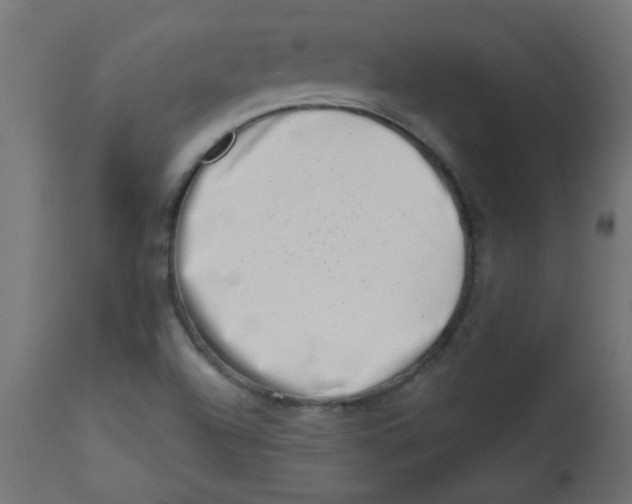 X0000113201504200910081238